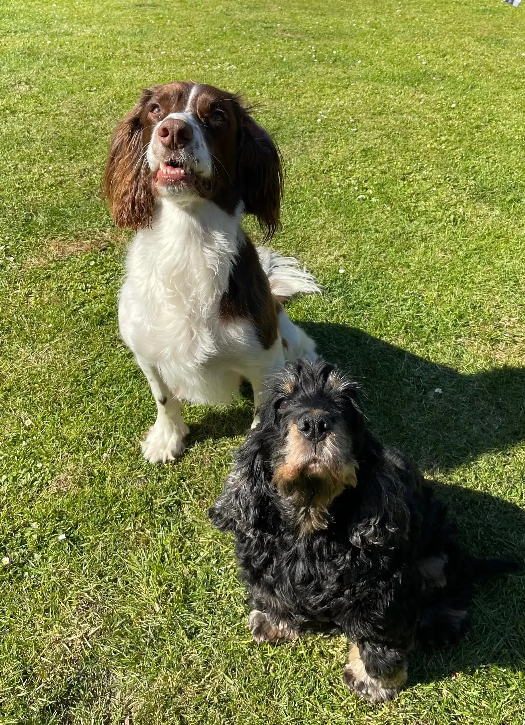 Hamish and Meg